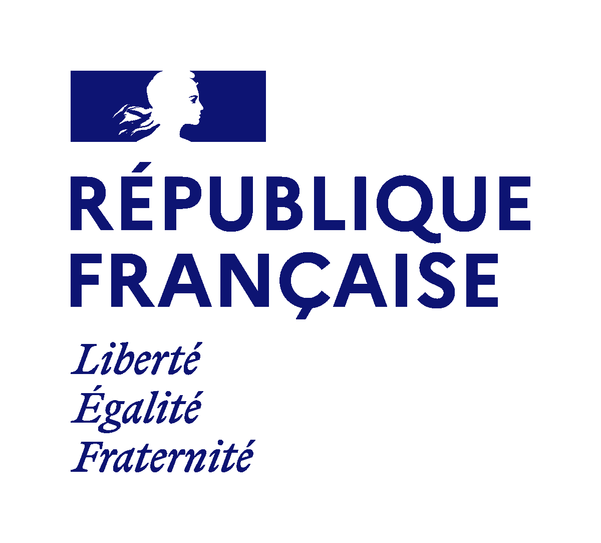Republique-francaise-logo bleu